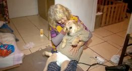Idosa de 80 anos cuida de uma cadelinha que perdeu os movimentos