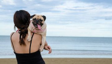 Em algumas cidades é proibido levar cães para a praia e você pode ser multado