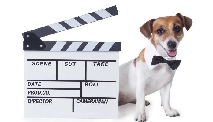 Os 10 melhores filmes de cachorros para assistir na Netflix